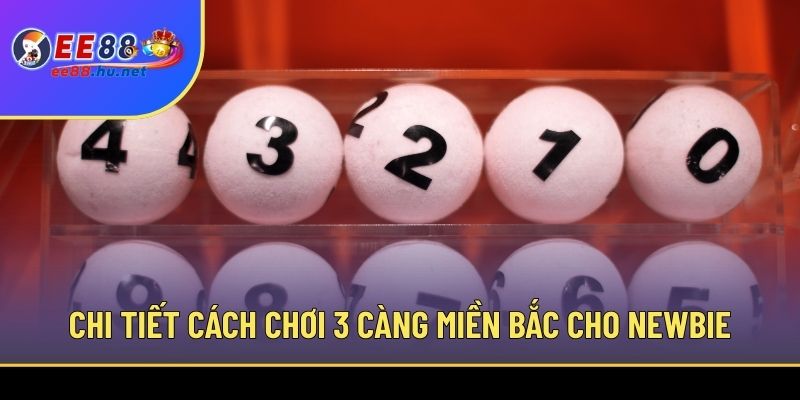 3 Càng Miền Bắc - Kinh Nghiệm Chốt Chuẩn Xác Từ EE88 3 Chi tiết cách chơi 3 càng miền Bắc cho newbie