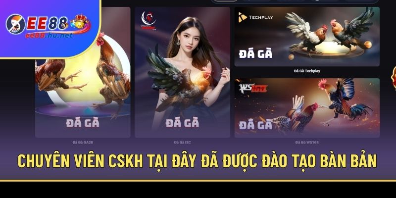 Trang chủ 70 Chuyên viên CSKH tại đây đã được đào tạo bàn bản