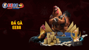 Trang chủ 46 Đá gà EE88