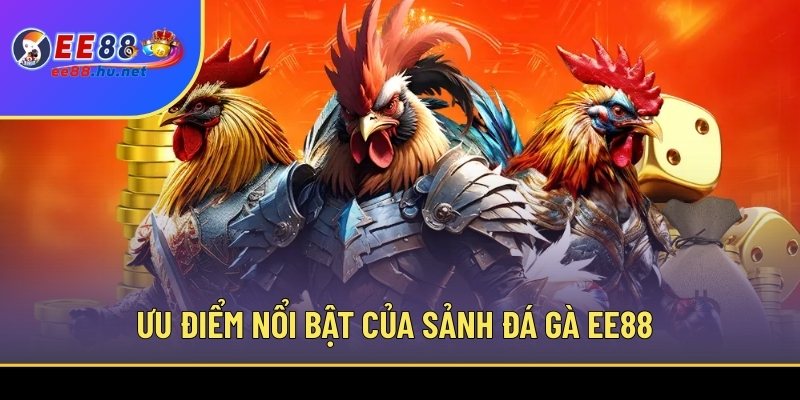 Đá Gà Trực Tiếp EE88 1 Ưu điểm nổi bật của sảnh Đá gà EE88